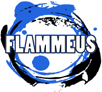 Verkeersschool Flammeus